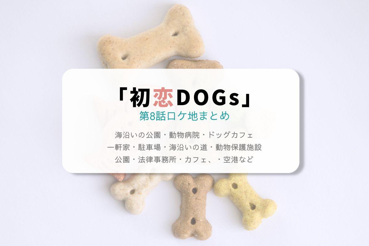 初恋DOGs第8話ロケ地まとめタイトル