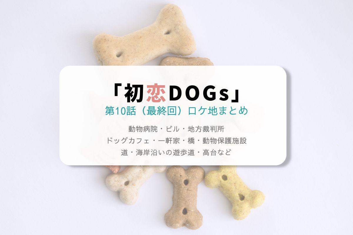 初恋DOGs第10話（最終回）ロケ地まとめタイトル