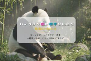 パンダより恋が苦手な私たち第2話ロケ地まとめタイトル