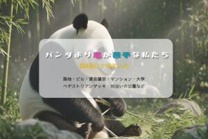 パンダより恋が苦手な私たち第8話ロケ地まとめタイトル